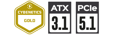 gold-cybemetics-atx31-pcie-51